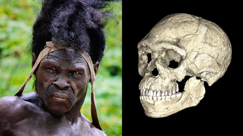 Kopf-Rekonstruktion und Schädel des ältesten Homo sapiens aus Jebel Irhoud in Marokko