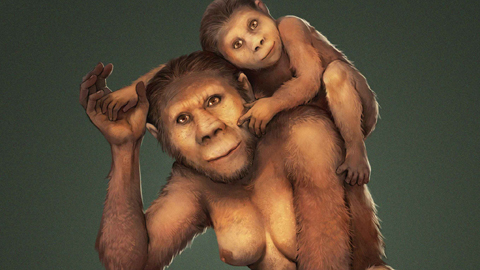>Zeichnung eine Australopithecus-Mutter, die ihr Kind auf der Schulter trägt