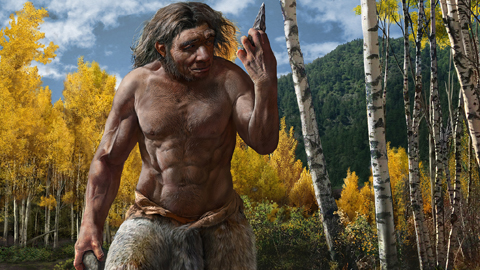 Modell vom Skelett einer menschlichen Hand und zwei fossile menschliche Schädel