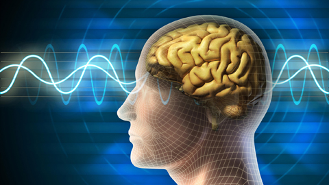 Grafik Kopf mit Gehirn und EEG-Wellen
