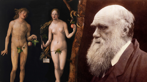 Adam und Eva als Gemälde von Albrcht Dürer und Evolutionsforscher Charles Darwein