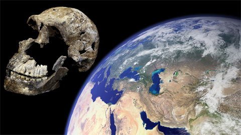 Homo naledi-Schädel vor Erde im Weltraum