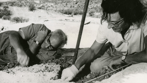 Die Paläoanthropologen Mary und Louis Leakey entdecken im Wüstensand der Olduvai-Schlucht in Tansania den Nussknacker-Menschen