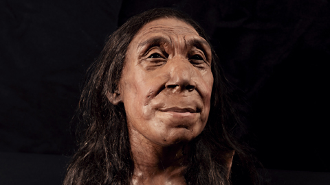 rekonstruiertes Porträt vom Kopf einer Neandertalerfrau mit langen Haaren und braunem Teint