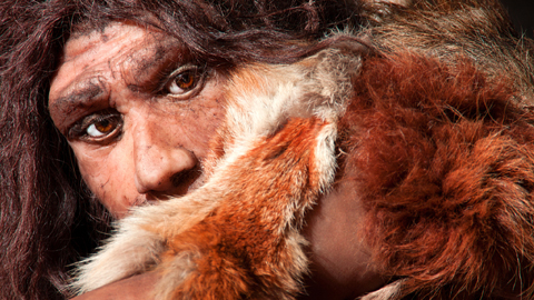 Rekonstruktion eines Neandertalers. Die Urmschen hinterließen ihre Gene im Homo-sapiens