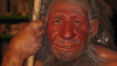 Rekonstruktion eines Neandertalers. Die Gene der Urmenschen verbreiteten sich bis nach Afrika