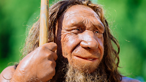 Kopf einer Neandertaler-Rekonstruktion des Neanderthal-Museums in Mettmann