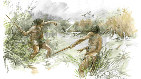 Zeichnung zweier Homo-heidelbergensis-Jäger, die mit Wurfhölzern Jagd auf Wasservögel machen